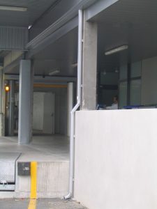 IMG 0020